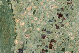 Polished Rainforest Jasper (Rhyolite) Slab - Australia #208129-1